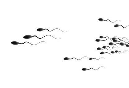 Sperm Myths and Facts: Speed, Lifespan, Volume, and More